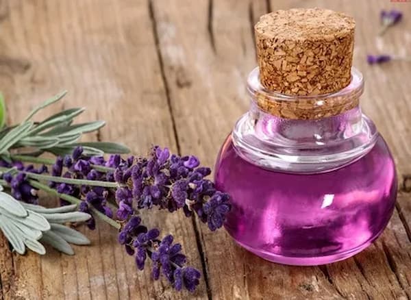 فروش عرق اسطوخودوس پامچال + قیمت خرید به صرفه